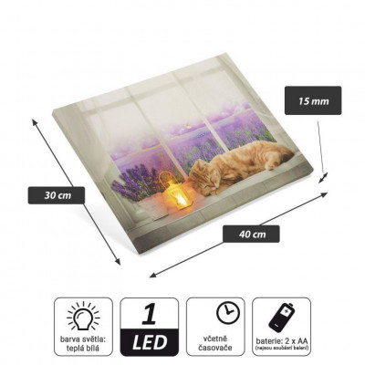 Nástenná maľba mačka na okne, 1 LED, 30 x 40 cm